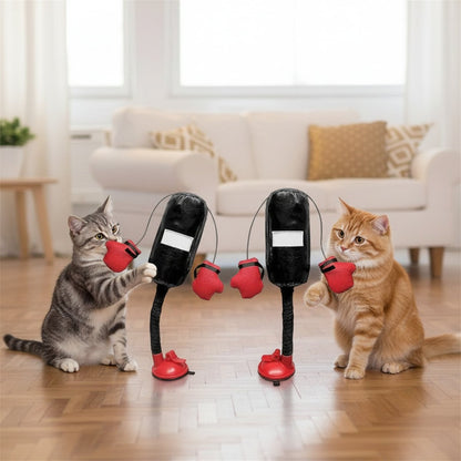 İki kedi iki oyuncakla oynuyor