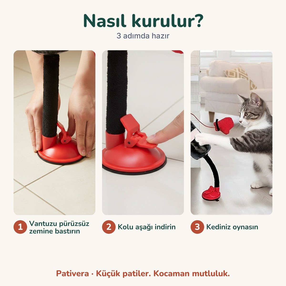 Nasıl kurulur: 3 adım